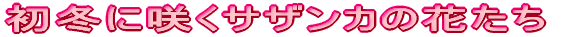 ~ɍ炭TUJ̉Ԃ