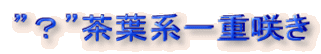 hHhtnd炫