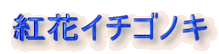 gԃC`SmL